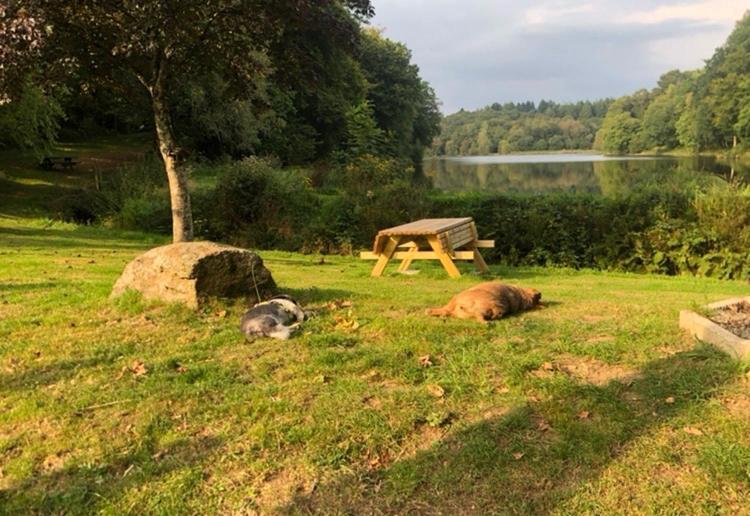 La forge b&b Perret  Exterior foto